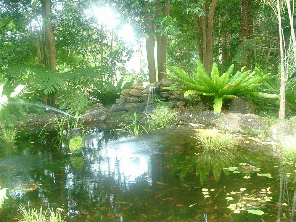Bendles Cottages Maleny Esterno foto