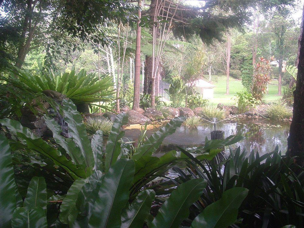 Bendles Cottages Maleny Esterno foto