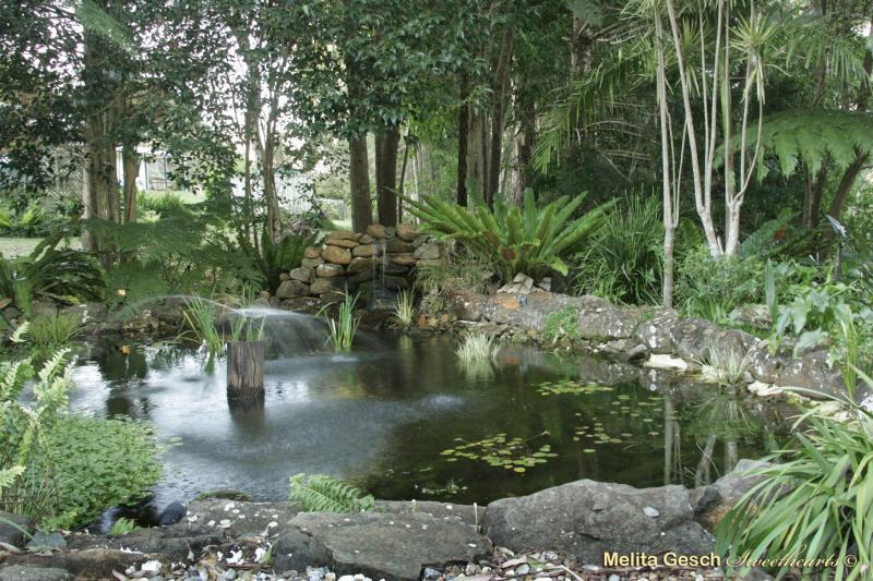 Bendles Cottages Maleny Esterno foto
