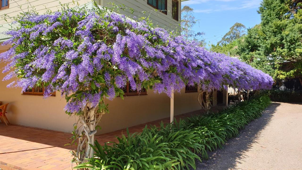 Bendles Cottages Maleny Esterno foto